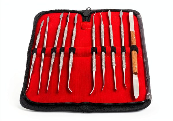 Wax Carver Set 10‑Piece OdontoMed2011 Stainless Steel Double‑Head-0